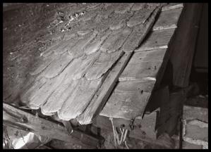 Shingles on clapboard sheathing